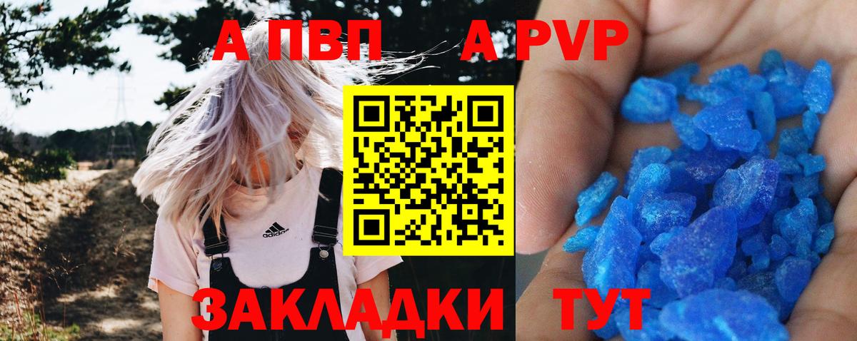 A PVP СК Новошахтинск