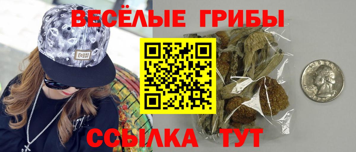 Галлюциногенные грибы мухоморы  Вход с VPN  Новошахтинск  Псилоцибиновые грибы Cubensis 