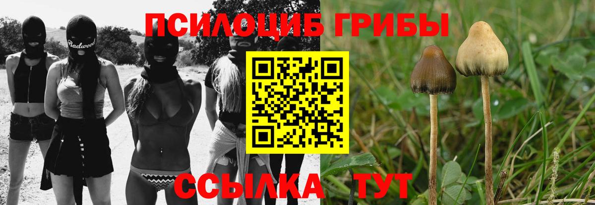 Галлюциногенные грибы прущие грибы Новошахтинск